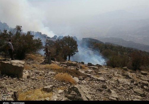 آتش دوباره در کوه «سفید» لنده زبانه کشید