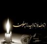 پیام تسلیت سید محمد موحد در پی درگذشت پدر شهیدان جوادی