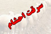 تقدیر جمعی از صاحبان احشام سرقتی در شهرستان لنده از نیروی انتظامی