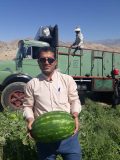 گزارش عملکرد سال ۹۹مدیریت جهادکشاورزی شهرستان لنده