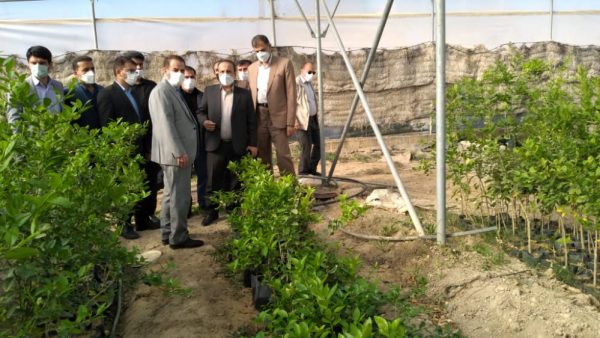 بخش کشاورزی کهگیلویه و بویراحمد توسعه یابد/ لزوم حمایت از تولیدکنندگان محصولات گلخانه‌ای