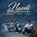 دانلود آهنگ نازلی از سینا دوستی