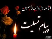 پیام تسلیت فرمانده ناحیه مقاومت بسیج عشایر استان در پی درگذشت مدیرکل امور عشایری استان کهگیلویه و بویراحمد