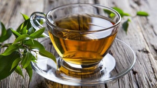 چای سبز چطور لاغر می کند؟