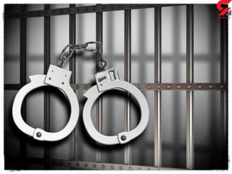 بازداشت عاملان انتشار تصاویر و مطالب غیراخلاقی در لنده / ۱۲ نفر دستگیر شدند.